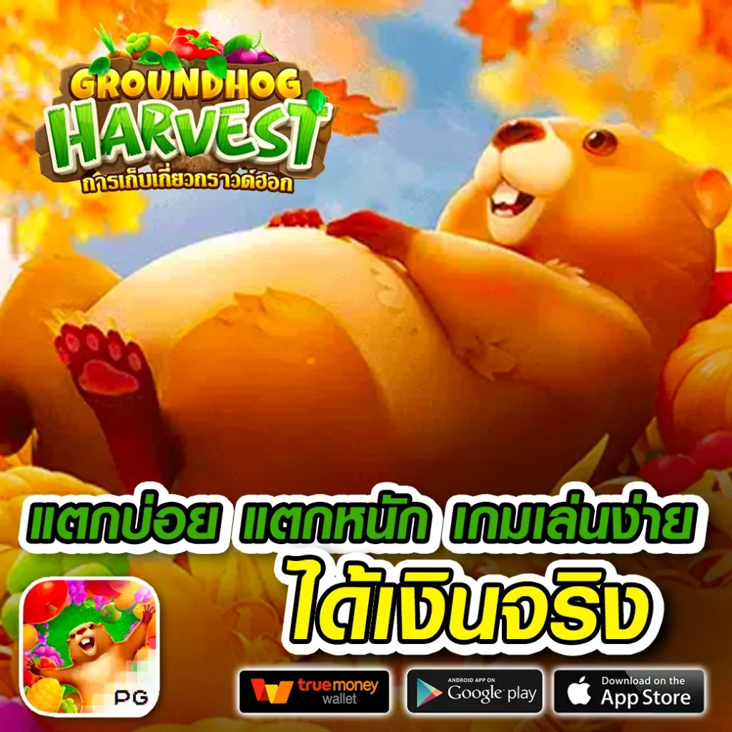 riches 4k แตกบ่อย